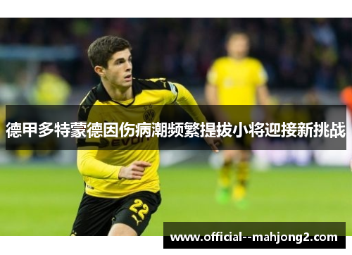 德甲多特蒙德因伤病潮频繁提拔小将迎接新挑战